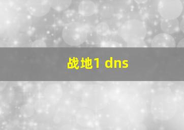 战地1 dns